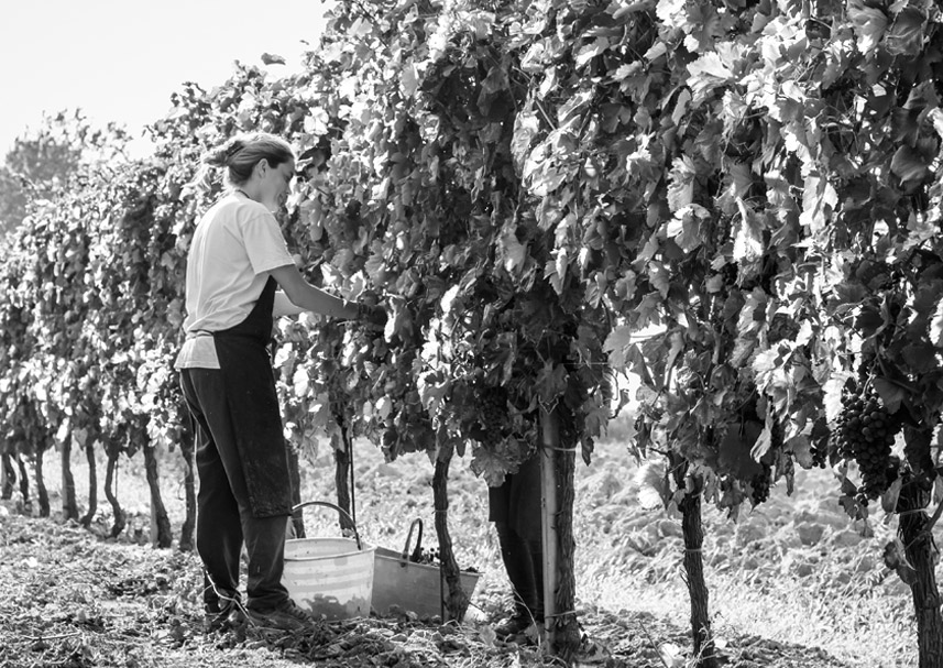 Visita l'azienda